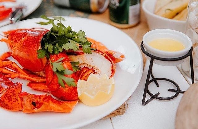 Valentine's Day Dinner