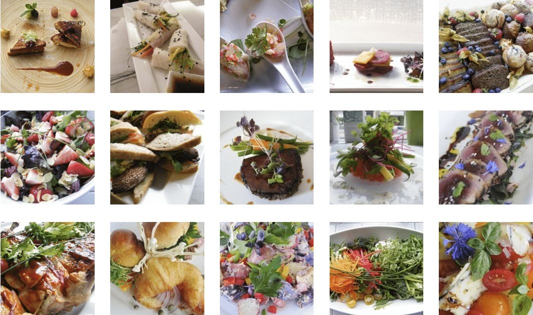 gourmet catering company